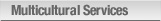 Multicultural Services